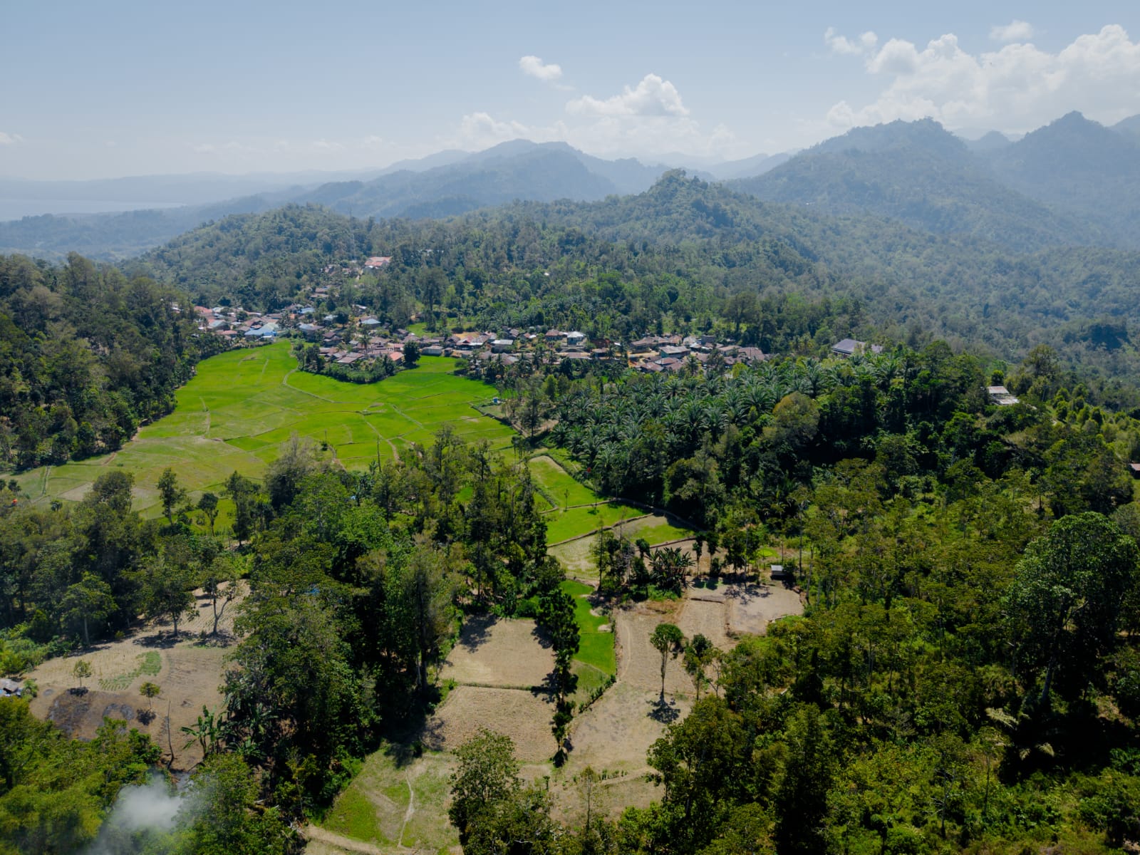 Lombang